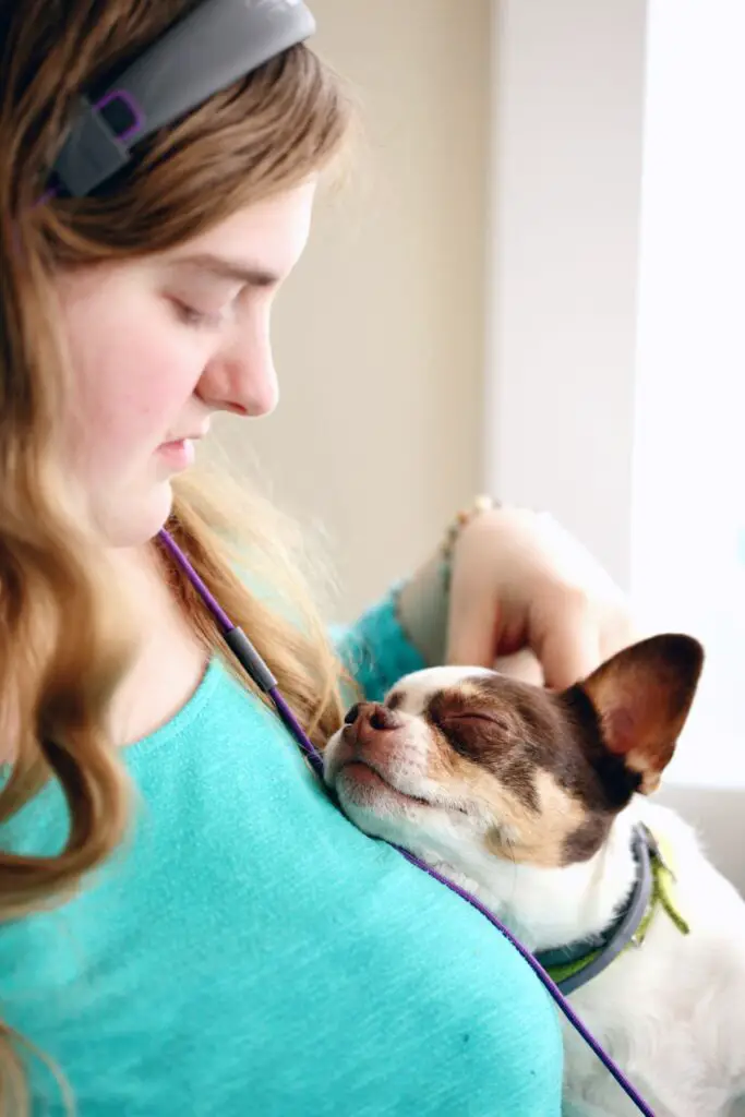 The love of a pet can be a stress buster for many individuals on the spectrum. 