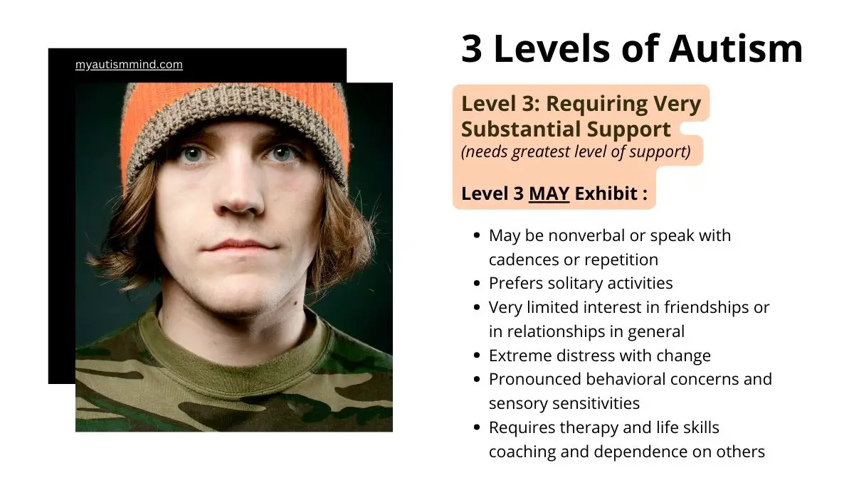 dsm 3 levels of autism