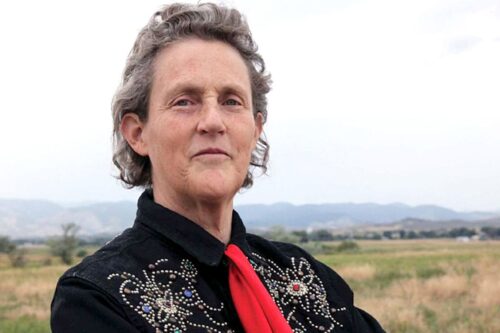 Dr. Temple Grandin is considered a trailblazer in autism acceptance.