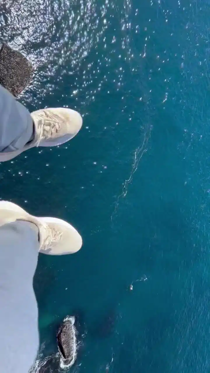 Boredom Busters: Why Being Bored with Life Can Be Good 4 It's okay to feel bored at times. Use it to grow.