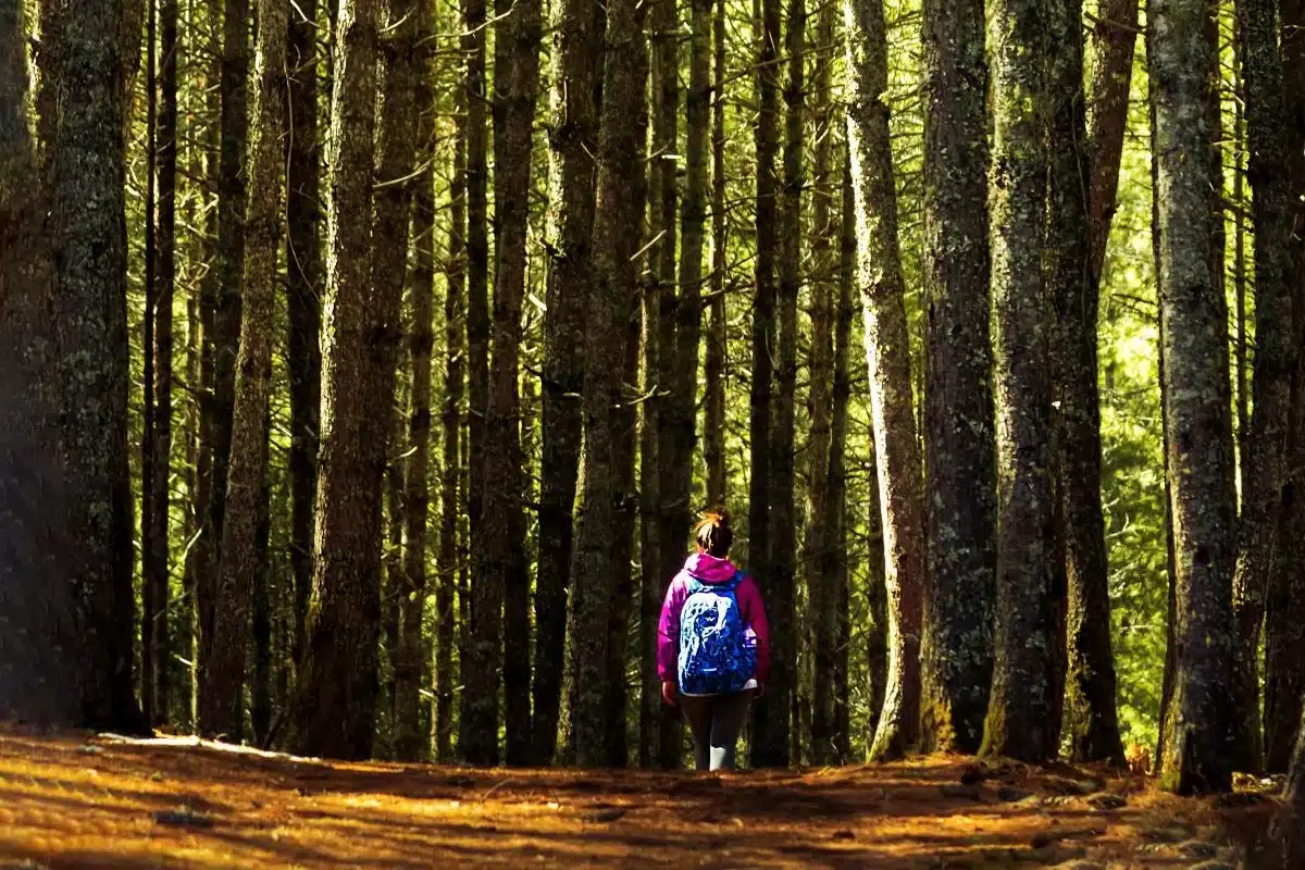 Autism elopement happens at all ages, and these disappearing acts are nothing short of a nightmare.