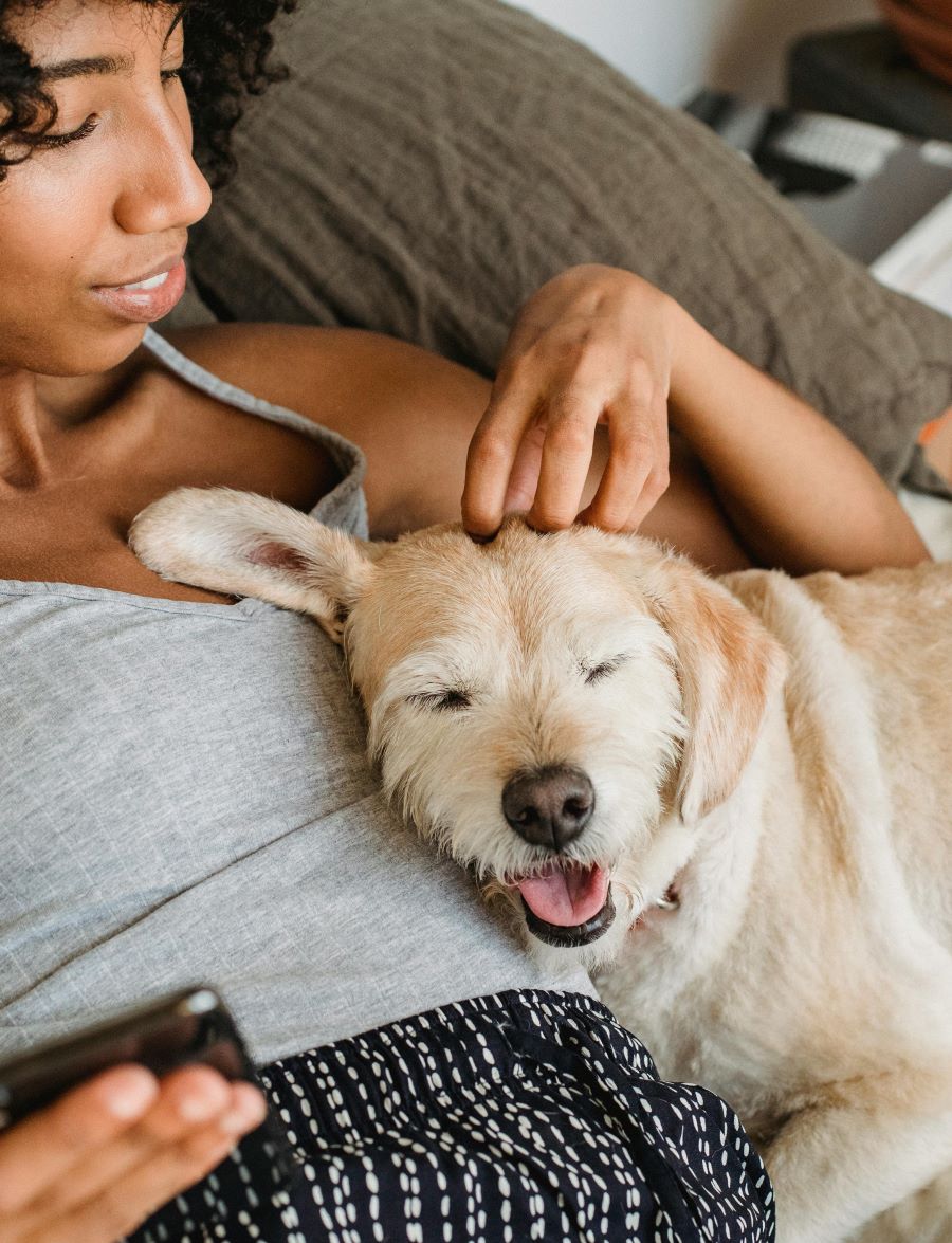 Hanging out with a furry best friend on a comfy bed can help with self-care and follows the bed rotting trend.