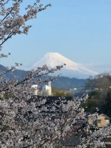 Traveling With A Group: Navigating Social Dynamics and Autism 3 Traveling the world means seeing sites like Mt. Fuji in Japan.